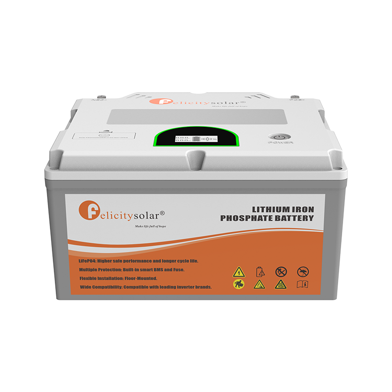 Felicity 24v 100ah 2.56KWH Lithium Battery-FLA24100G2