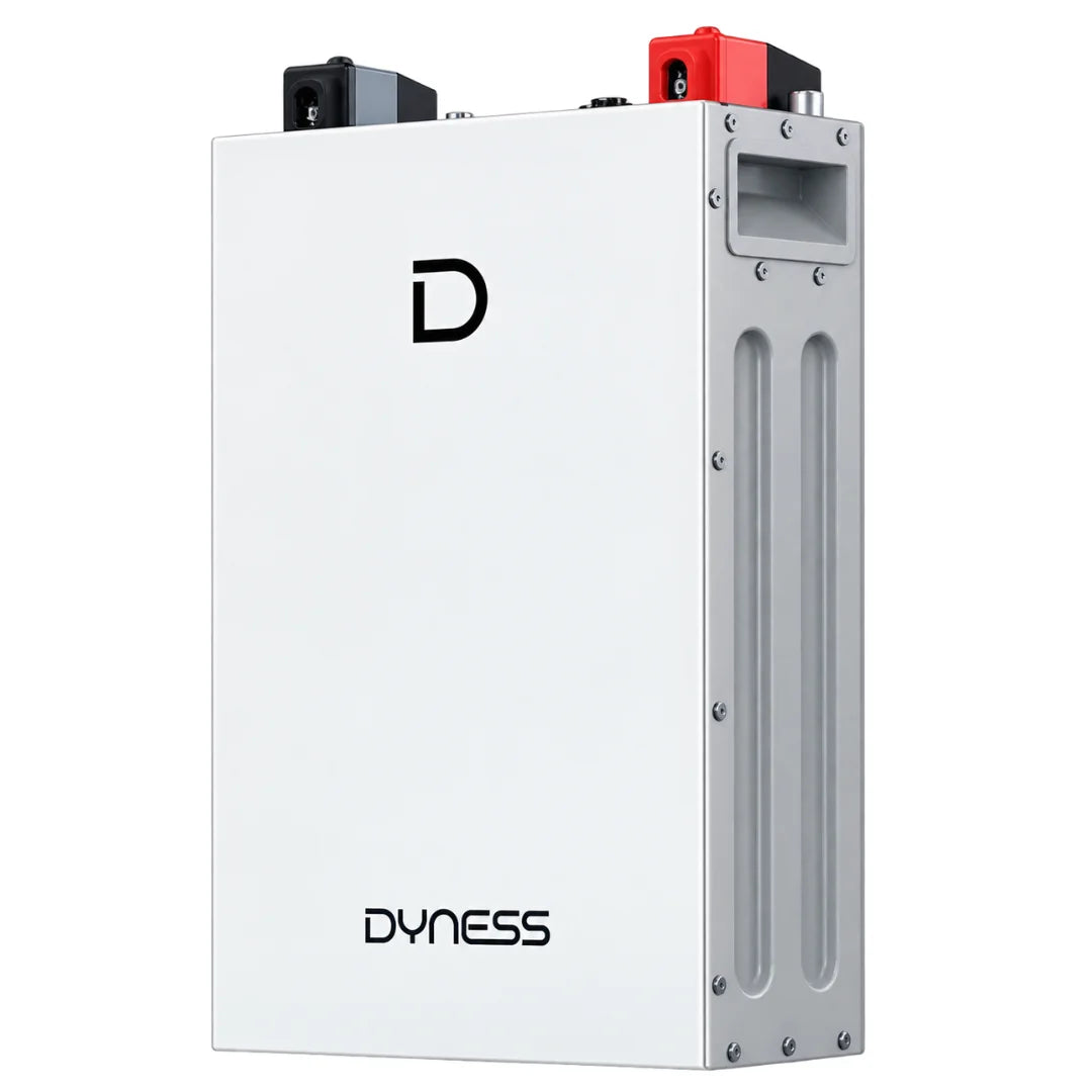 DYNESS Lithium Battery DL5.0F 5.12kWh LV Lithium Battery (100AH 51.2V )