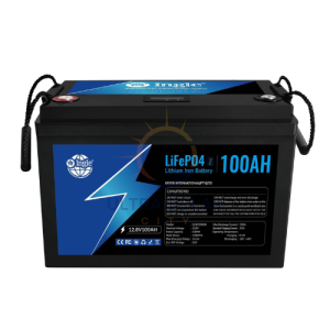 12.8v 100ah Lifepo4 Lithium Battery Ingle