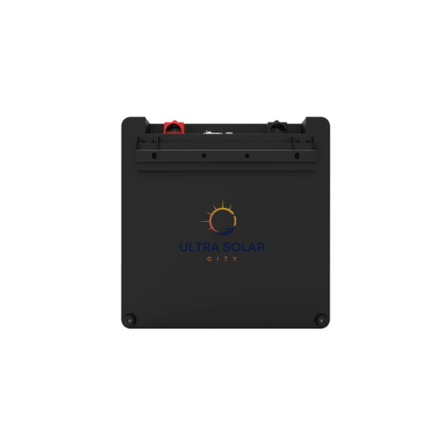 Ecco 25.6V 100ah 2.5 kWh With BMS Lithium Battery-ELV24100