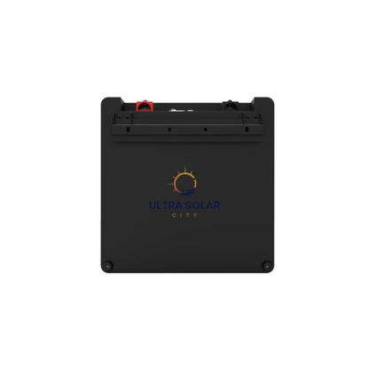 Ecco 25.6V 100ah 2.5 kWh With BMS Lithium Battery-ELV24100